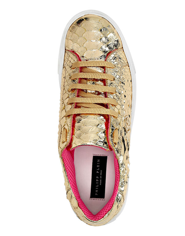Python Lo-Top Sneakers Gold