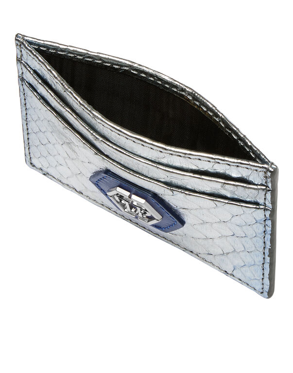 Python Credit Cards Holder