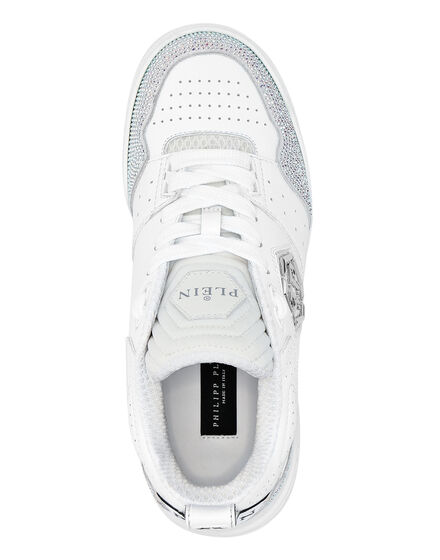 Lo-top Sneakers Titan $lam