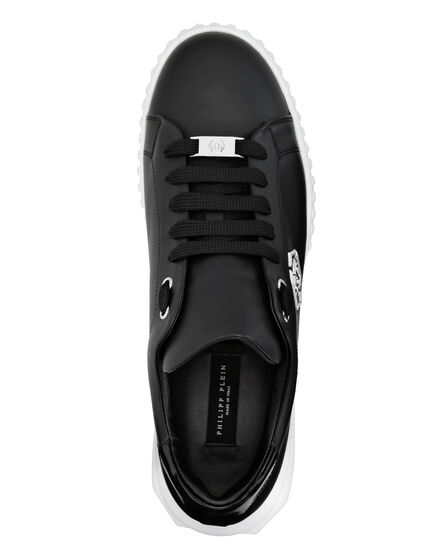 Lo-Top Sneakers