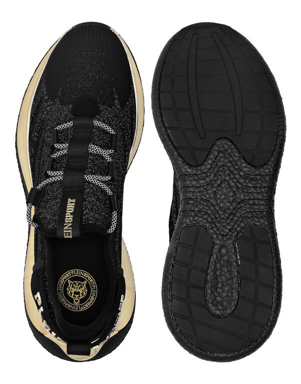 The Iron Tiger Gen.X.02